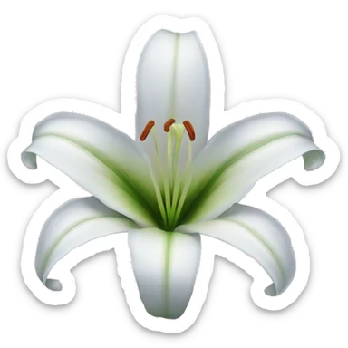 lily flower  sticker