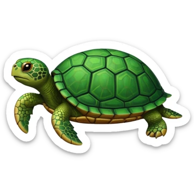 Turtle sticker