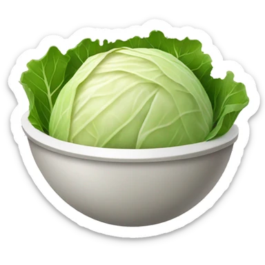 fermented cabbage in a bowl sticker