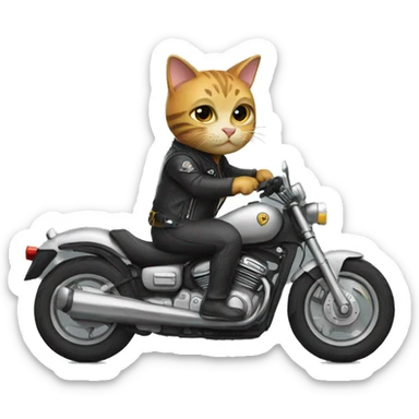 Cat riding a motorcycle  sticker