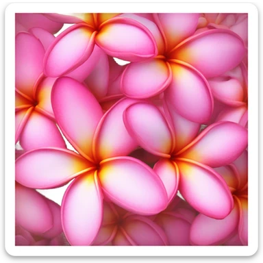 all pink plumeria sticker