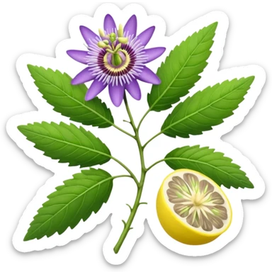 lavender, passion flower, ashwagandha roots, lemon balm sticker