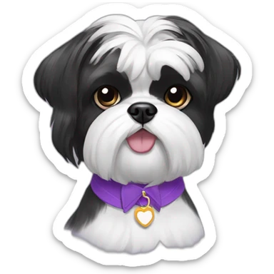 black and white shihtzu dog wearing a bun and a pueple collar sticker