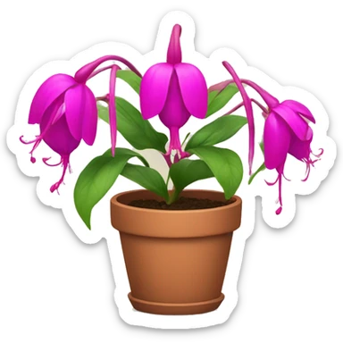 fuchsia Flowers in a pot sticker