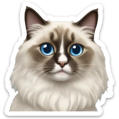 Ragdoll cat sticker