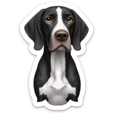 black german shorthair pointer, long snout, full black head, without white on the head, with white hair on the snout, black and white spotted body sticker