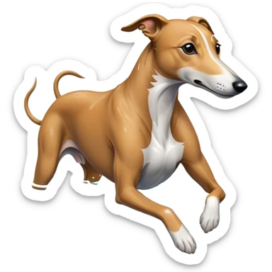 Greyhound swimming  sticker