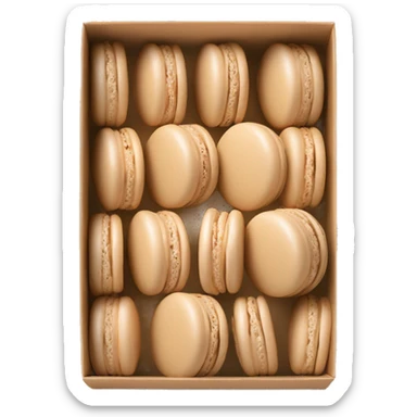 Beige asthetic macarons in a Box sticker
