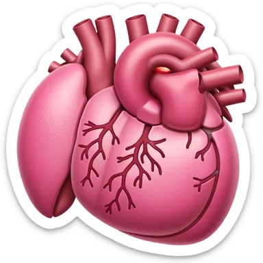 kidney organ sticker