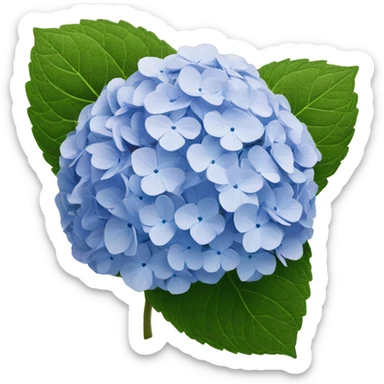 Hydrangea  sticker