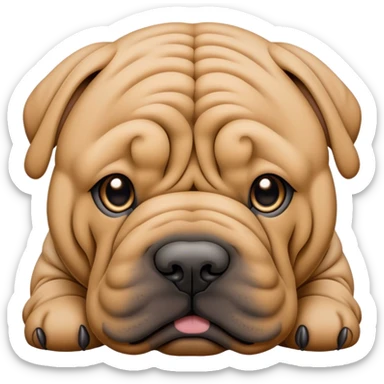 Shar pei sticker