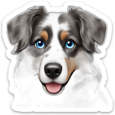 Australian shepherd with one blue eye and triple melted in color sticker