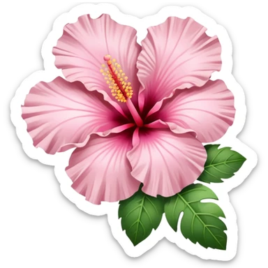 light pink hibiscus flower sticker