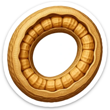 Single Peanut (Figure-eight shape) in its Shell sticker