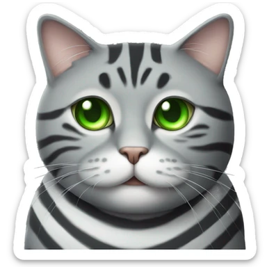 Striped grey fat cat with green eyes  sticker