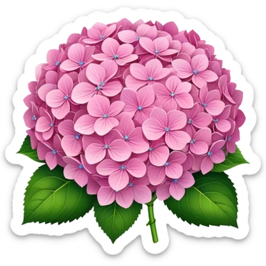 Pink hydrangeas bouquet  sticker