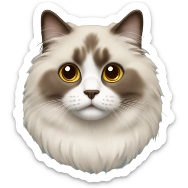 Ragdoll with brown face  sticker