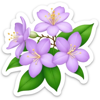 Jasmine flowers in lilac  sticker