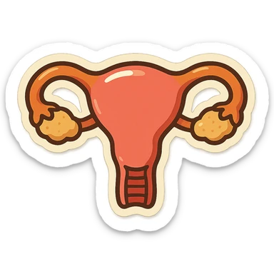 Retro stickers style variant of a uterus with more pronounced ovaries, soft rounded shapes, expressive contours, vintage color palette, light paper texture, shadows and highlights, transparent background. sticker