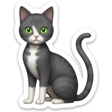 full body view of beautiful female dark grey cat with green eyes, white toes and white patch on chest sticker