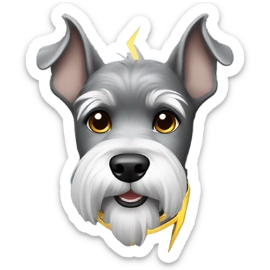 Gray schnauzer with pointy ears wearing a lightning bolt collar sticker
