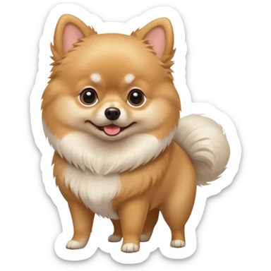 Bald Pomeranian  sticker