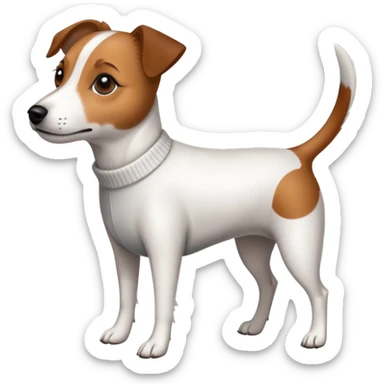 Jack Russell with long legs wearing a jumper  sticker