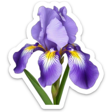 Iris flower sticker