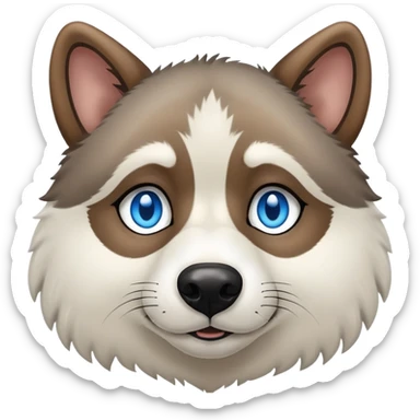 Wooly agouti husky with blue eyes sticker