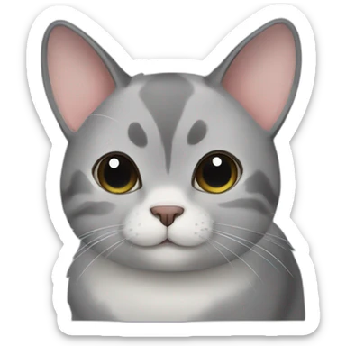 Chinchilla cat sticker
