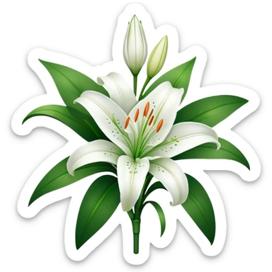 bouquet Snow White Lily, luxuriant, stem, leaf, bud sticker