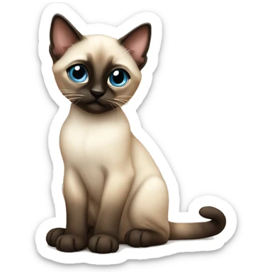 Siamese kitten sitting sticker