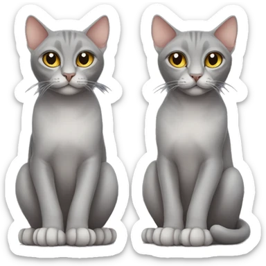 gray cat sphinx sticker