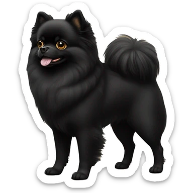 Black Pomeranian dog with golden eyes full body sticker