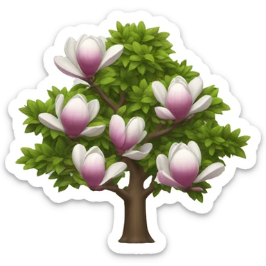 Magnolia tree sticker