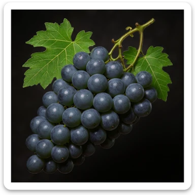 Make the grapes a little more gray, keep the realistic professional photography style, transparent background. sticker