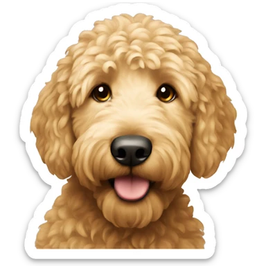 Golden doodle  sticker