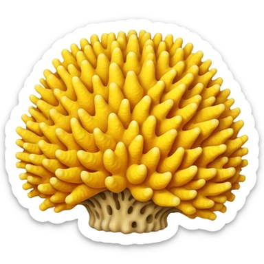 yellow Coral  sticker