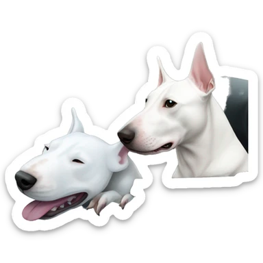 White Bull terrier and blue C6 Corvette  sticker