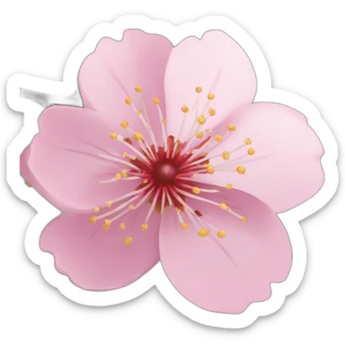 Cherry Blossom flower sticker