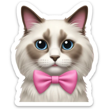 Ragdoll cat with pink bow  sticker