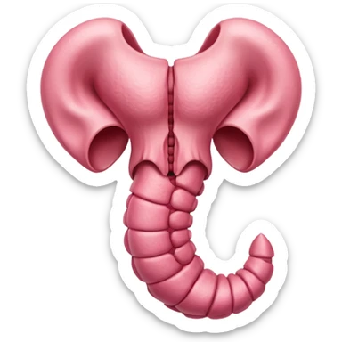 uterus sticker
