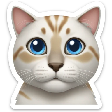 Tai cat with blue eyes sticker