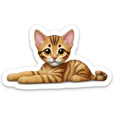 Bengal kitten laying  sticker