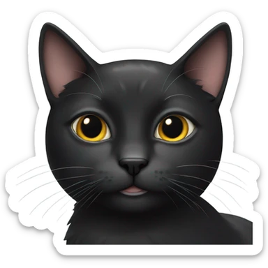 Black cat with a white spot on the forehead sticker
