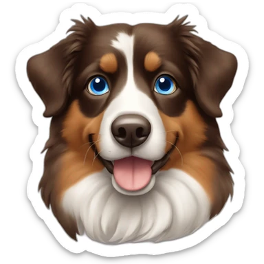 Berger australien brown tricolore blue eyes sticker