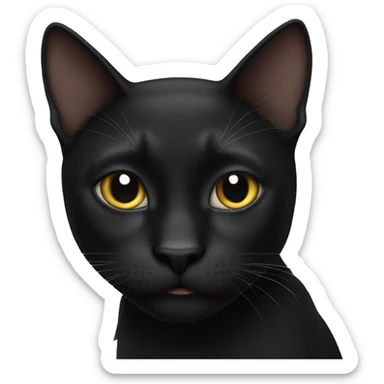 Black cat  sticker