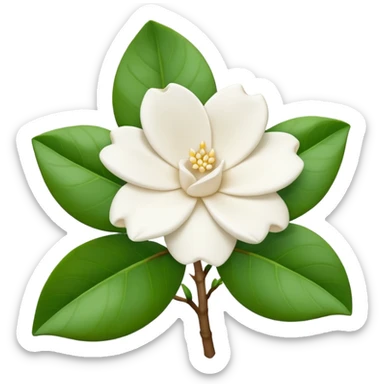 Gardenia blanca sin tantas hojas verdes sticker