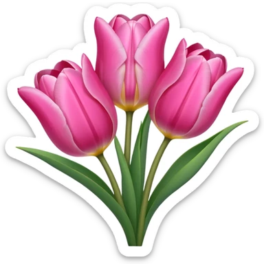 Pink tulips sticker