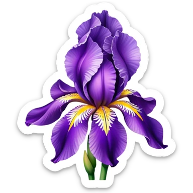 Shimmer iris flower sticker